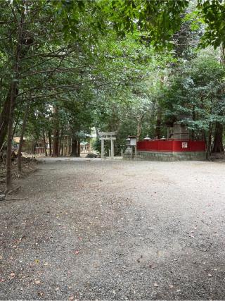 本居宣長ノ宮の参拝記録(⛩️🐍🐢まめ🐢🐍⛩️さん)