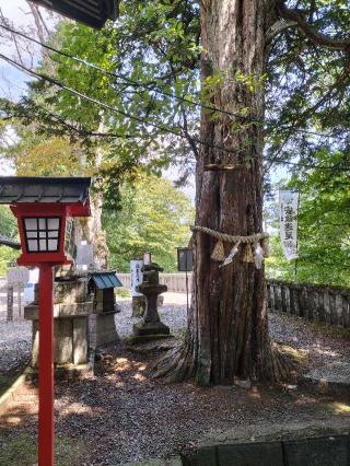 熊野皇大神社の参拝記録(ジョージ。さん)