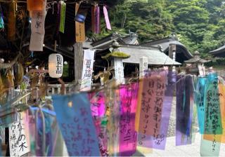熊野皇大神社の参拝記録(竜胆の花さん)