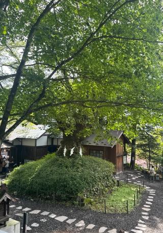 熊野皇大神社の参拝記録(竜胆の花さん)