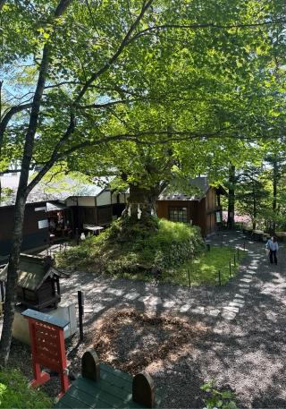熊野皇大神社の参拝記録(竜胆の花さん)