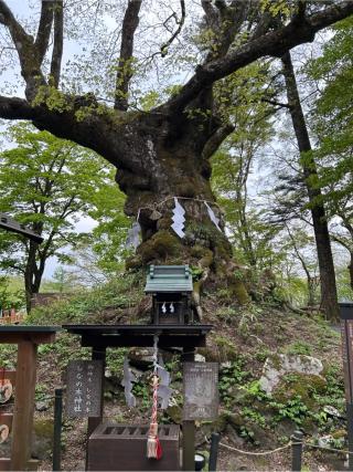 熊野皇大神社の参拝記録(はらけんさん)