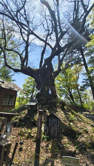 熊野皇大神社の参拝記録(あにぃさん)