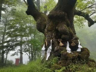 熊野皇大神社の参拝記録(🌈かな⛩️さん)