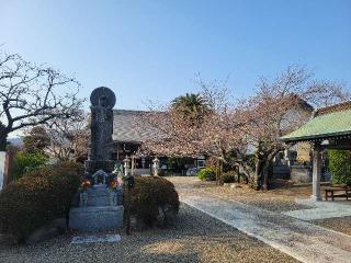 亀福山 存林寺の参拝記録(まっきーさん)