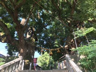 山王神社（浦上皇大神宮）の参拝記録(じゃすてぃさん)