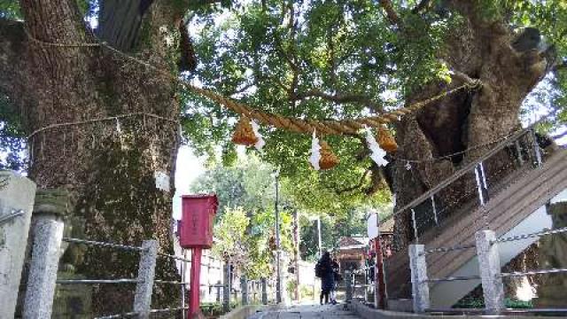 長崎県長崎市坂本2-6-56 山王神社（浦上皇大神宮）の写真2