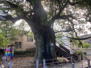 山王神社（浦上皇大神宮）の参拝記録(スエさん)
