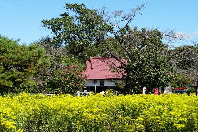 埼玉県秩父郡長瀞町本野上436 東谷山 真性寺の写真4
