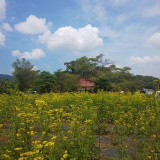 東谷山 真性寺の参拝記録(しろぎすさん)