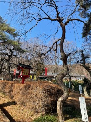 長瀞山 五大院 不動寺の参拝記録(ギャズさん)