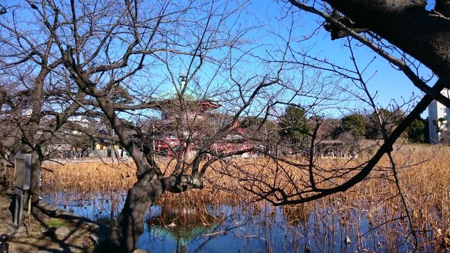 東京都台東区上野公園２−１ 不忍池辯天堂（寛永寺）の写真3