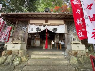 百々神社の参拝記録(二代目無宿さん)