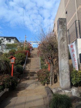 成増菅原神社の参拝記録(はくすみさん)