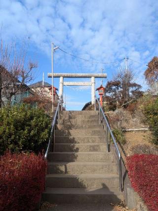成増菅原神社の参拝記録(はくすみさん)
