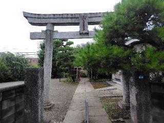 中田出世稲荷神社の参拝記録(ロビンさん)
