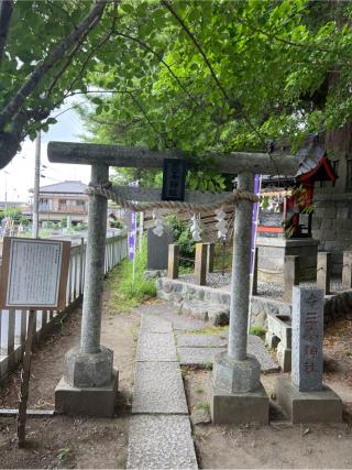 三峯神社（玉前神社境内社）の参拝記録(⛩️🐍🐢まめ🐢🐍⛩️さん)
