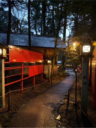 椿岸神社（椿大神社別宮）の参拝記録(⛩️🎠🐢まめ🐢🎠⛩️さん)