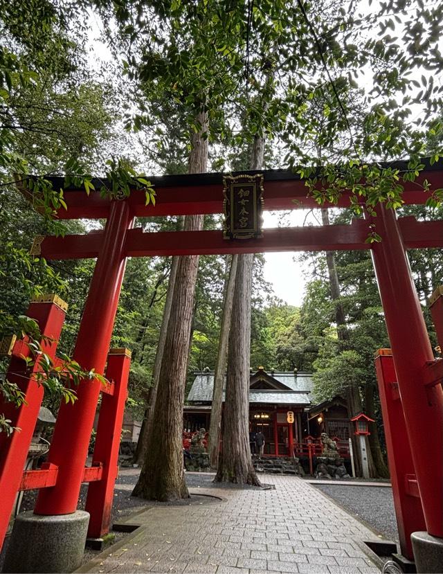 椿岸神社（椿大神社別宮）の参拝記録