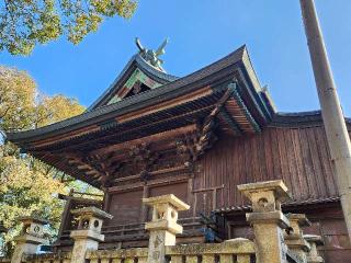 豊浜八幡神社の参拝記録(ろかずさん)