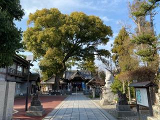 小津神社の参拝記録(明介さん)