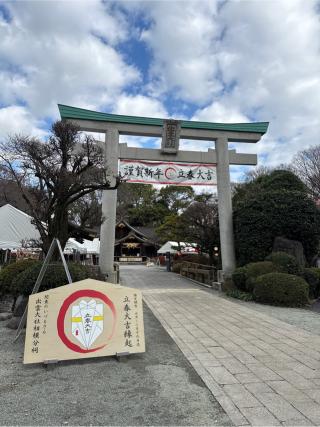 出雲大社相模分祠の参拝記録(⛩️🐍🐢まめ🐢🐍⛩️さん)