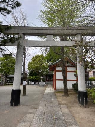 八剱神社の参拝記録(⛩️🎠🐢まめ🐢🎠⛩️さん)