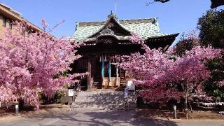 桜神宮の参拝記録(オトギリルさん)