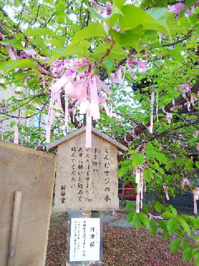 東京都世田谷区新町3-21-3 桜神宮の写真15