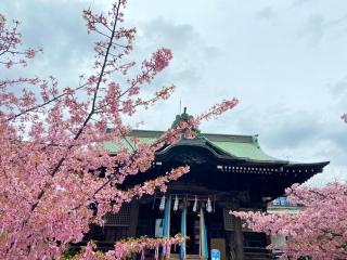 桜神宮の参拝記録(しゃっぽさん)