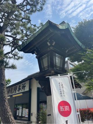 桜神宮の参拝記録(⛩️🐍🐢まめ🐢🐍⛩️さん)