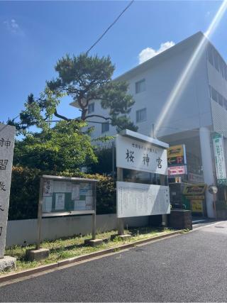桜神宮の参拝記録(⛩️🐍🐢まめ🐢🐍⛩️さん)