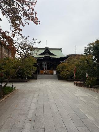 桜神宮の参拝記録(⛩️🐍🐢まめ🐢🐍⛩️さん)