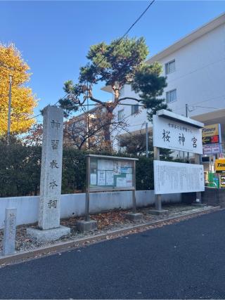 桜神宮の参拝記録(⛩️🐍🐢まめ🐢🐍⛩️さん)