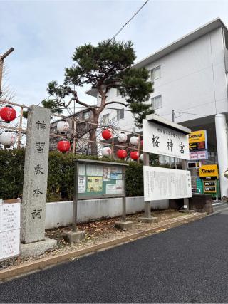 桜神宮の参拝記録(⛩️🐍🐢まめ🐢🐍⛩️さん)