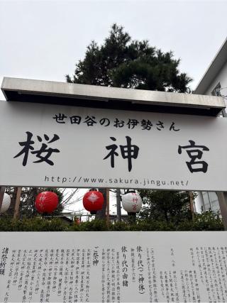 桜神宮の参拝記録(⛩️🎠🐢まめ🐢🎠⛩️さん)