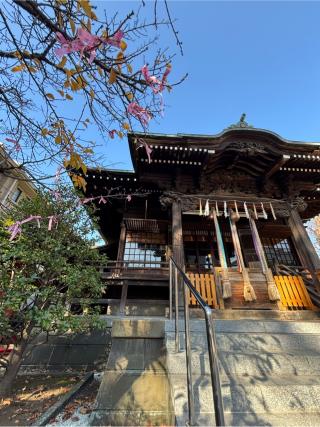 桜神宮の参拝記録(マ　ノ　さん)