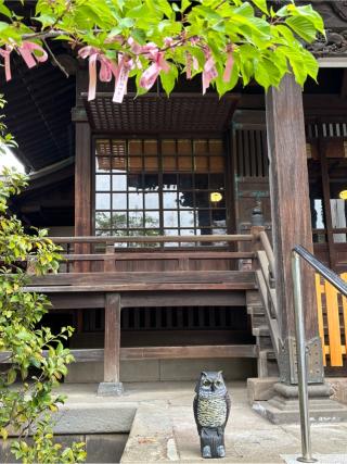 桜神宮の参拝記録(マ　ノ　さん)