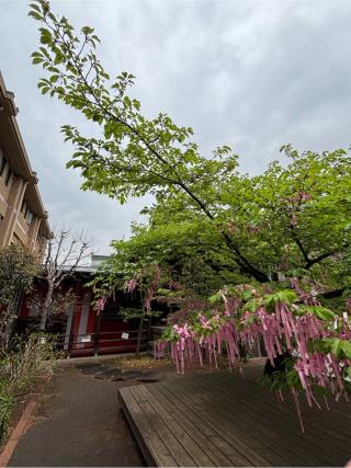 桜神宮の参拝記録(マ　ノ　さん)