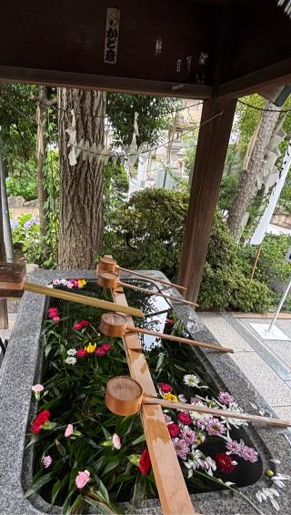 桜神宮の参拝記録(マ🌸ノさん)