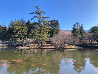 厳島神社の参拝記録(恭子さん)