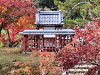 厳島神社の参拝記録(ロビンさん)