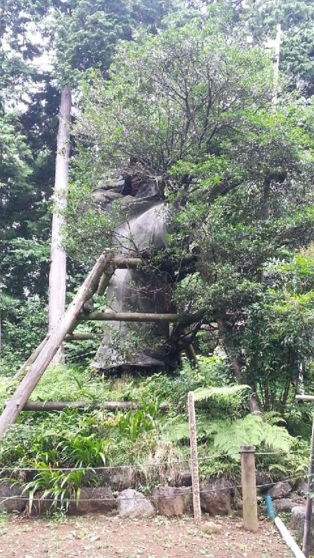 静岡県富士宮市西山６７１ 西山本門寺の写真4