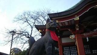 若林稲荷神社の参拝記録(miyumikoさん)