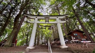 寳登山神社 奥宮の参拝記録(金猿さん)