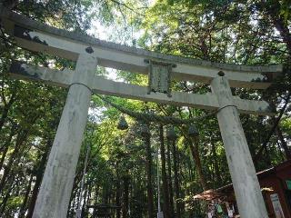 寳登山神社 奥宮の参拝記録(🐺⛩️🐺さん)
