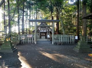 寳登山神社 奥宮の参拝記録(ともさん)
