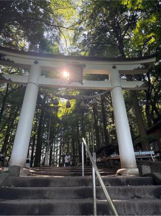寳登山神社 奥宮の参拝記録(⛩️🎠🐢まめ🐢🎠⛩️さん)