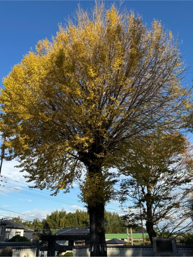 白山神社の参拝記録9