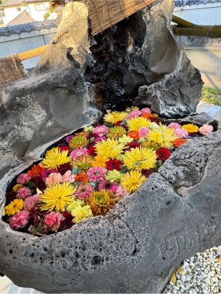 白山神社の参拝記録(みほさん)